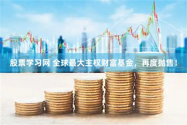 股票学习网 全球最大主权财富基金，再度抛售！